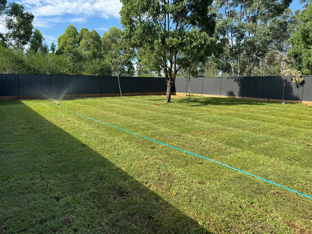 Premium buffalo Turf Freshly Installed Premium Buffalo Turf Per m²