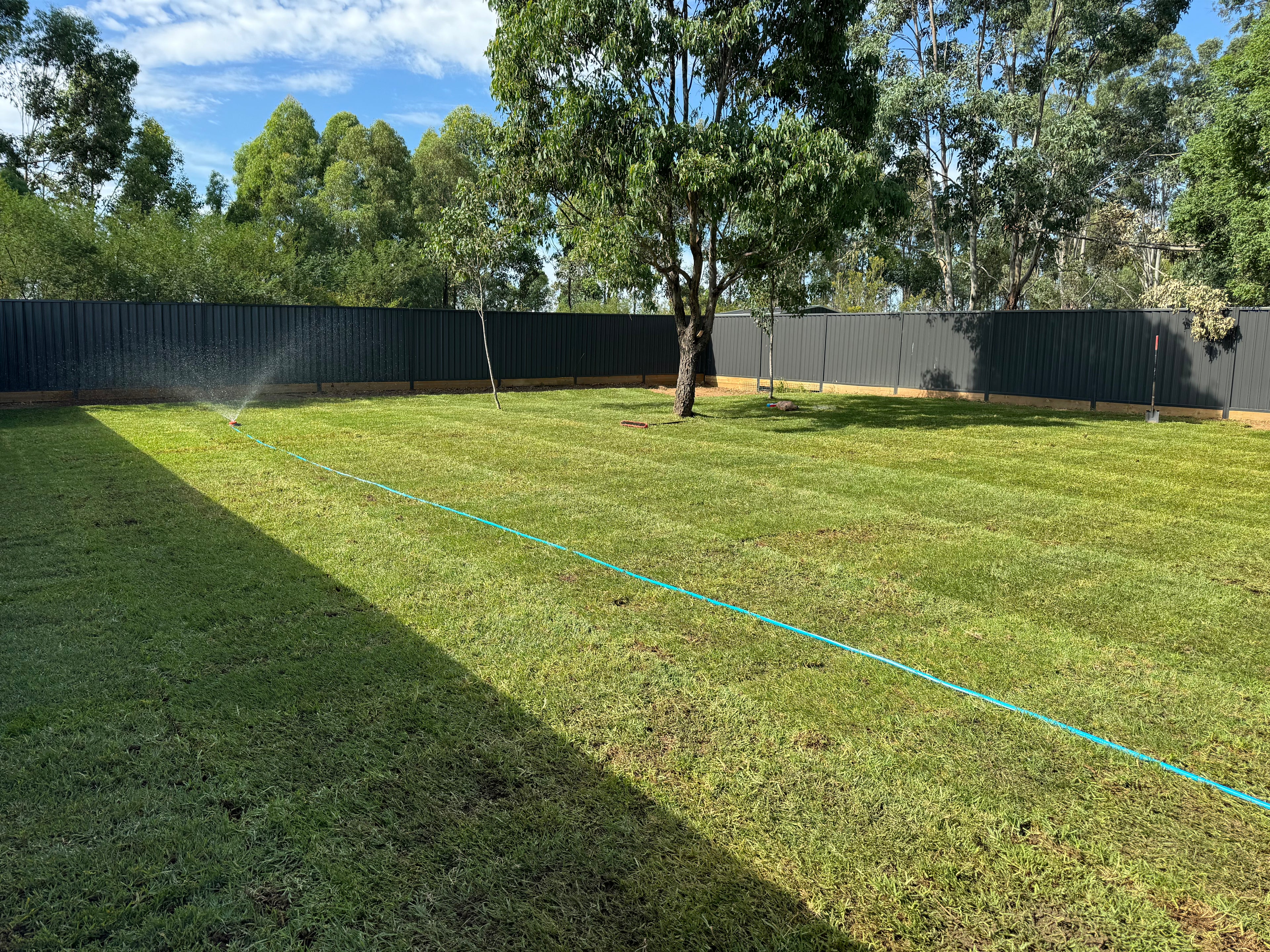 Premium buffalo Turf Freshly Installed Premium Buffalo Turf Per m²