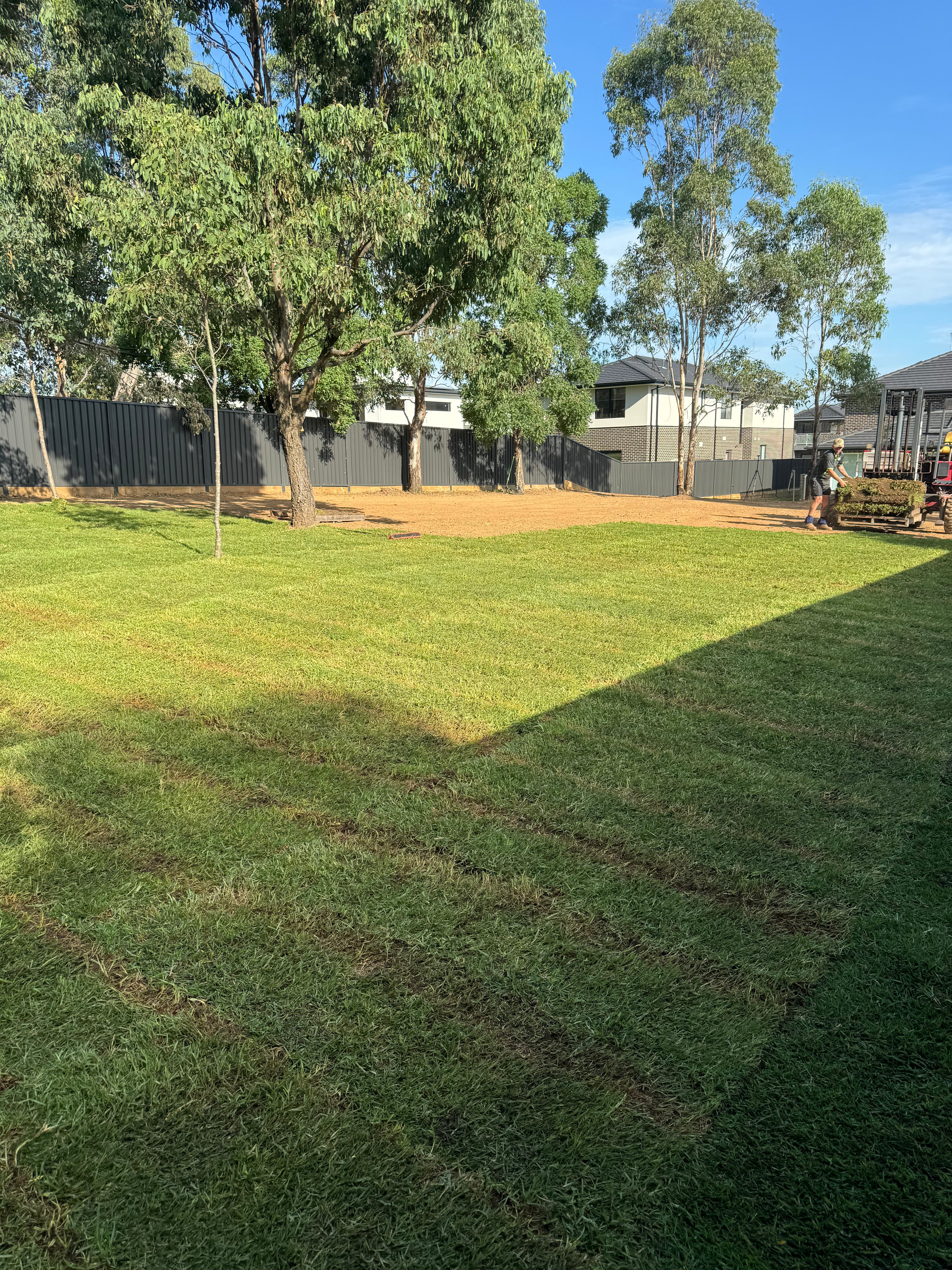 Premium Buffalo Turf growing in Sydney Backyard